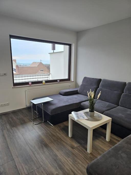Gemuetliche Ferienwohnung Mülheim-Kärlich Exteriör bild